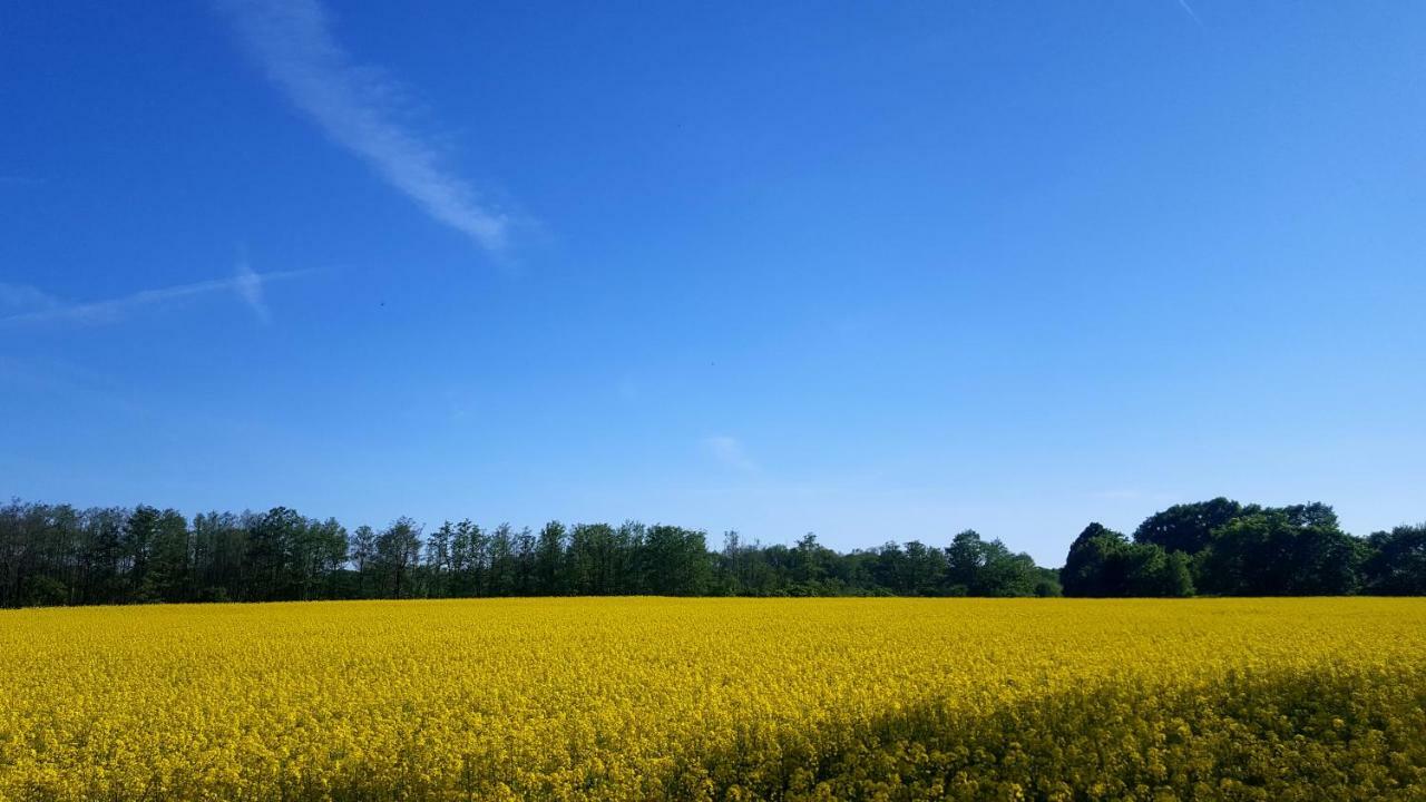 Ferienwohnung Finja In Putgarten, Kap Arkona Ruegen Zewnętrze zdjęcie