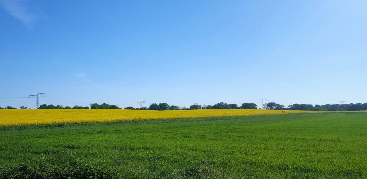 Ferienwohnung Finja In Putgarten, Kap Arkona Ruegen Zewnętrze zdjęcie